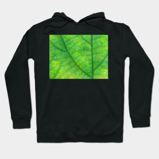 Leaf Macro Photo Painting Hoodie